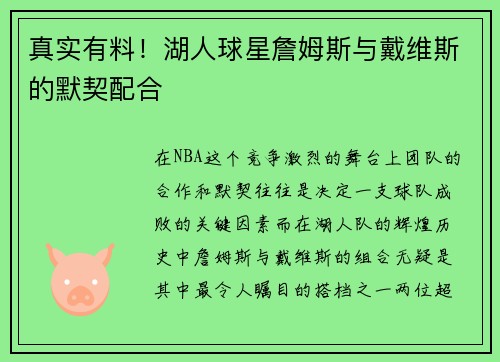 真实有料！湖人球星詹姆斯与戴维斯的默契配合