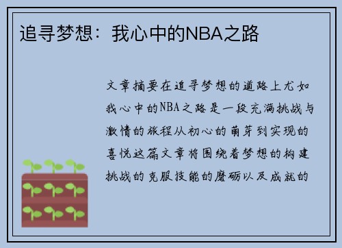 追寻梦想：我心中的NBA之路