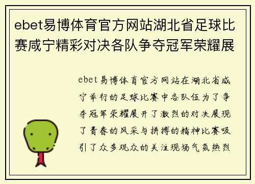 ebet易博体育官方网站湖北省足球比赛咸宁精彩对决各队争夺冠军荣耀展现青春风采