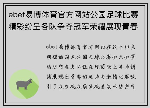ebet易博体育官方网站公园足球比赛精彩纷呈各队争夺冠军荣耀展现青春活力